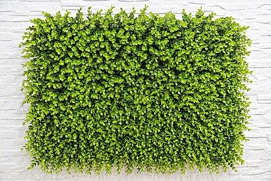 传闻：《女神异闻录4》重制版将在6月8日xbox游戏展上正式亮相